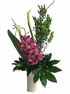 Affectionate Orchid Affectionate Orchid