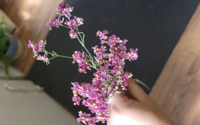 Journal 2 Limonium Flower