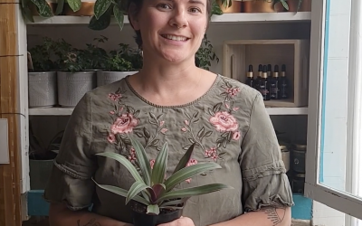 Journal 1 Tradescantia Plant